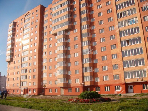 Облицовочный кирпич Железногорский Евро 0,5 НФ Красный гладкий